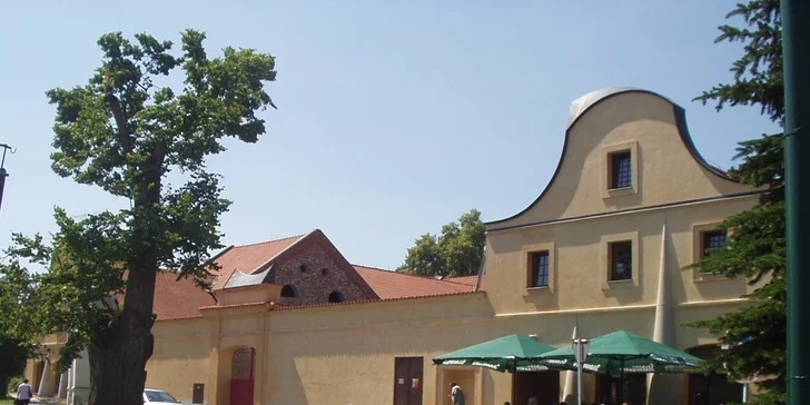 Svatomartinský nebo prodloužený víkend v Telči: hotel u zámeckého parku i 4chodové menu