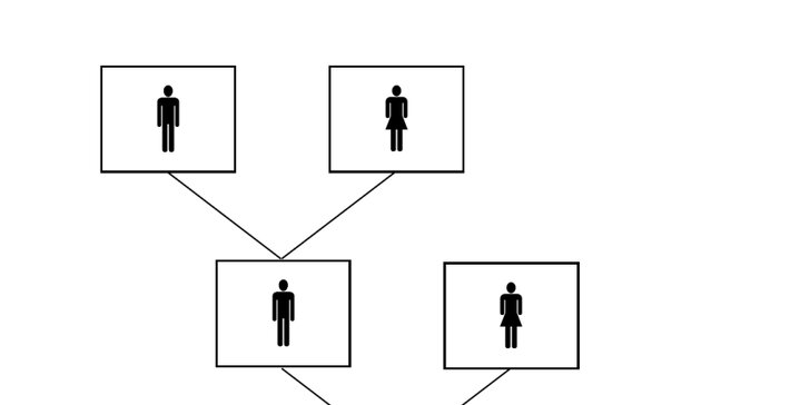 Rodokmen zobrazující celkem 5 generací formou diagramu