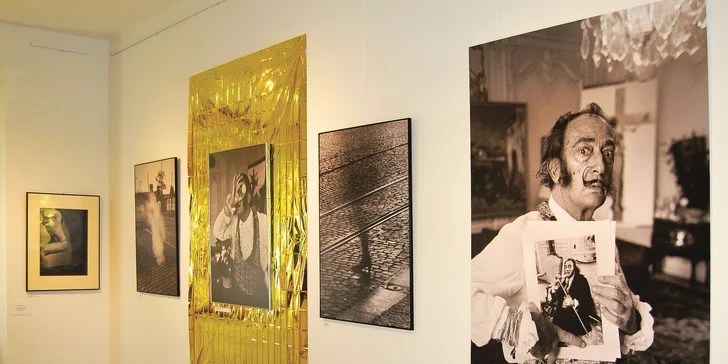 Celoroční i jednorázové vstupné do Galerie Mariánská