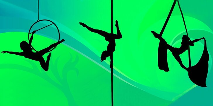 Víkendové lekce pole dance, aerial silks nebo aerial hoop pro začátečníky