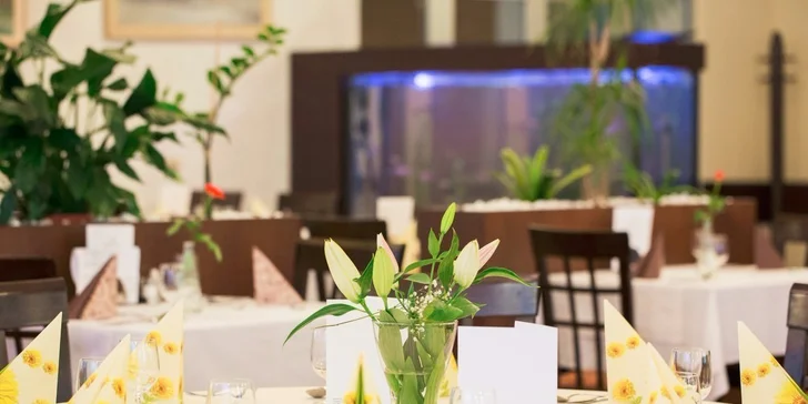 Exkluzivní medical & wellness pobyt v hotelu Park *** + v Piešťanech na 4 nebo 6 dní, děti do 6 let zdarma