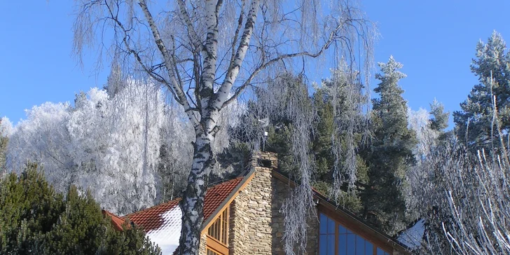 Zimní sporty i relax na Lipně: hotel s polopenzí a odpoledním snackem