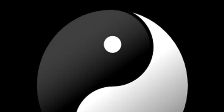 Lekce čínského bojového umění Wing Chun