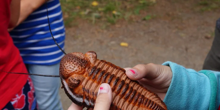 Úžasné tvůrčí odpoledne v Triloparku aneb Vytvořte si vlastního dinosaura