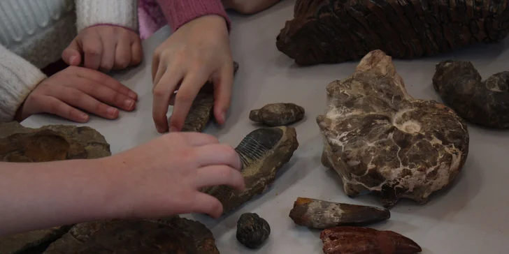 Úžasné tvůrčí odpoledne v Triloparku aneb Vytvořte si vlastního dinosaura