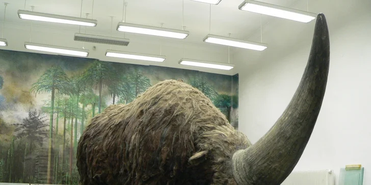 Úžasné tvůrčí odpoledne v Triloparku aneb Vytvořte si vlastního dinosaura