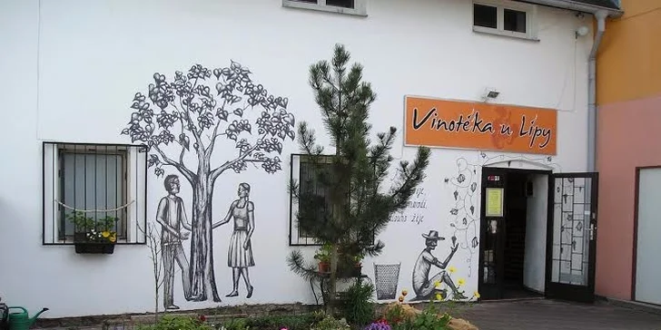 Degustace vína pro dva včetně drobného občerstvení