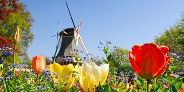 Víkendový výlet do jarního Amsterdamu i za tulipány