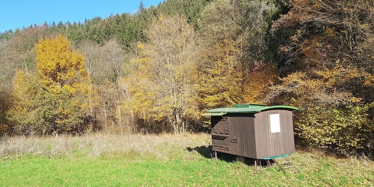 Vítání jsou i zájemci, kteří nechtějí v budoucnu včelařit, jen je prostě zajímá, jak se včelaří a co to v praxi obnáší. 