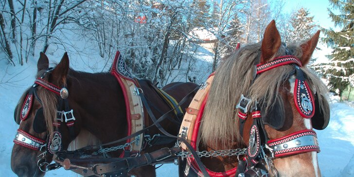 Rodinná zimní dovolená u koní v malebných Beskydech