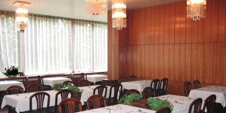 Pobyt v hotelu u Máchova jezera s polopenzí a bazénem