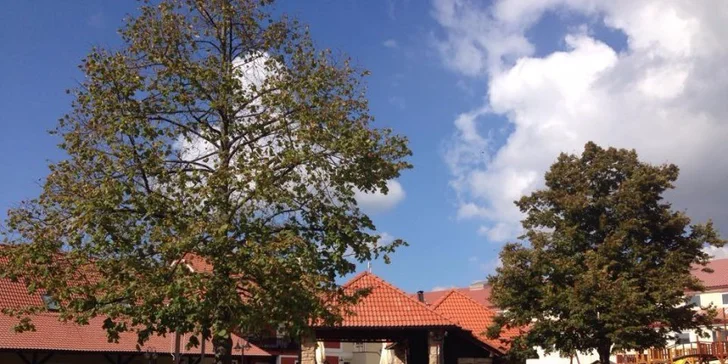 Golfové kurzy na Nové Americe s možností ubytování