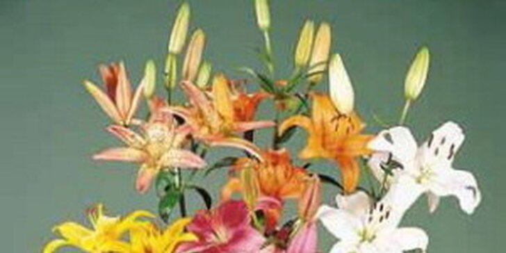 Kytice nádherných čerstvých květin – lilie nebo růže