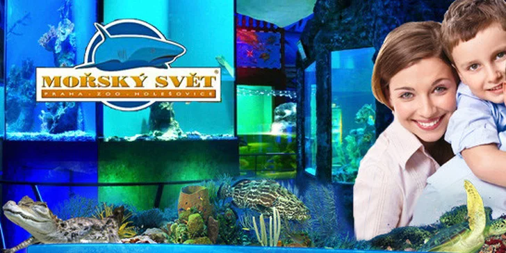 Vstupenky pro dospělé i děti do ZOO Mořský svět. Poznejte piraně, žraloky, murény a další podmořský život na úchvatné podívané!