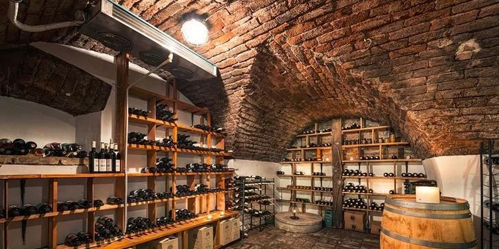 Zimní či jarní pohoda s degustací vín ve 4* hotelu na Moravě
