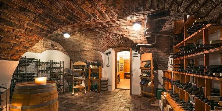 Zimní či jarní pohoda s degustací vín ve 4* hotelu na Moravě