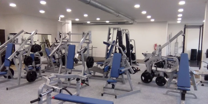 Jeden nebo dvanáct vstupů do fitness centra a možnost saunování