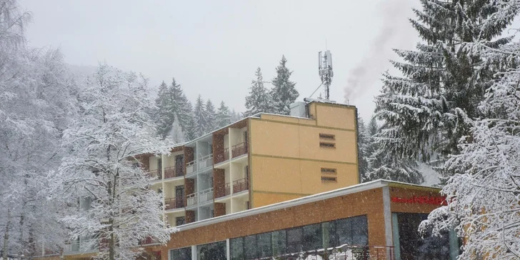 Pobyt přímo u SKIPARK Malinô Brdo v hotelu Hrabovo ** s welness