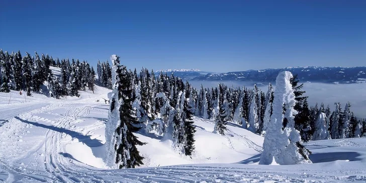 Pobyt přímo u SKIPARK Malinô Brdo v hotelu Hrabovo ** s welness