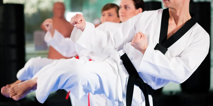 Tréninky Taekwondo WTF