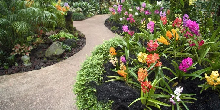 Největší výstava orchidejí v Rakousku, klášter Klosterneuburg a prohlídka Vídně