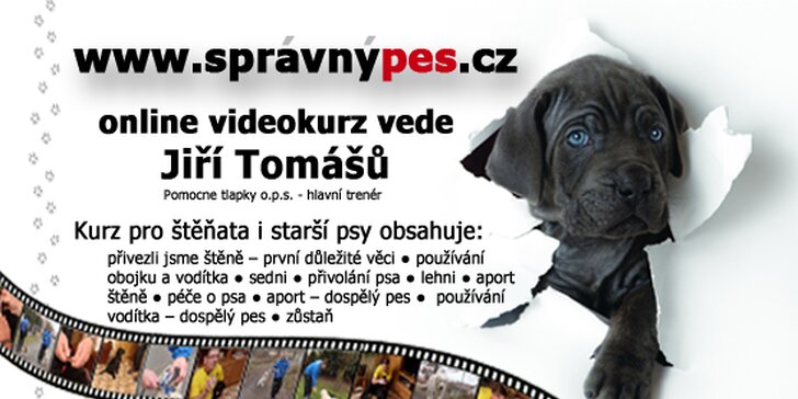 Online videokurz výcviku a péče o štěně a psa