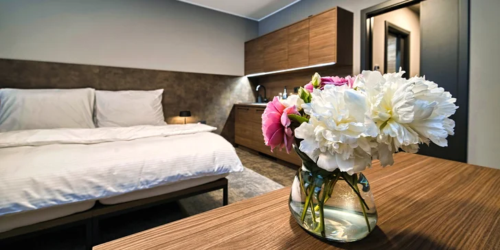 Na výběr je apartmán Deluxe a Economy. Deluxe je vhodný až pro 4 osoby.