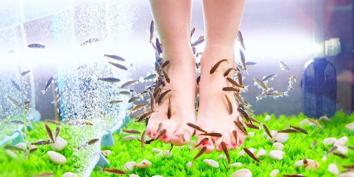 Koupel nohou s rybkami Garra Rufa: 20–40 minut nebo permanentka