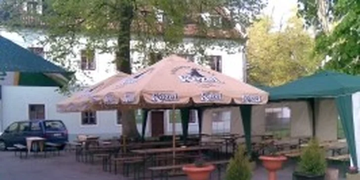 Dvě pizzy dle vašeho gusta s rozvozem až ke dveřím