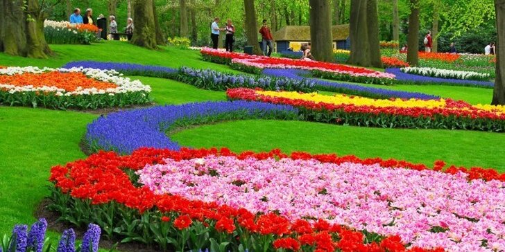 Výlet za tulipány do Holandska pro 1 osobu