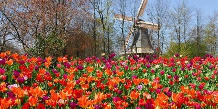 Výlet za tulipány do Holandska pro 1 osobu
