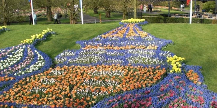 Výlet za tulipány do Holandska pro 1 osobu