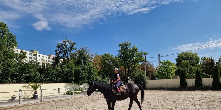 Maximální váha jezdce je 90 kg. 