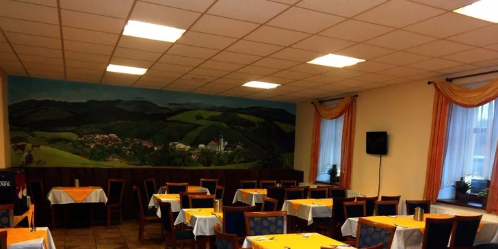 Wellness relax v Jeseníkách: pobyt v penzionu s polopenzí pro dva či celou partu