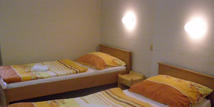 Wellness relax v Jeseníkách: pobyt v penzionu s polopenzí pro dva či celou partu