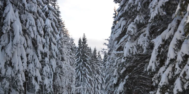 Hurá na sníh: permanentky pro děti i dospělé do skiareálu Pancíř
