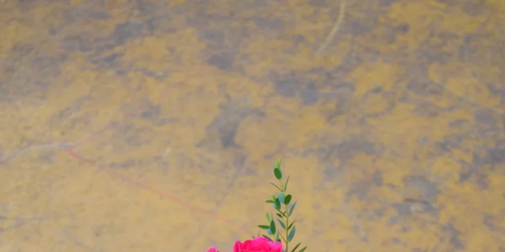 Nádherná kytice růží nebo tulipánů