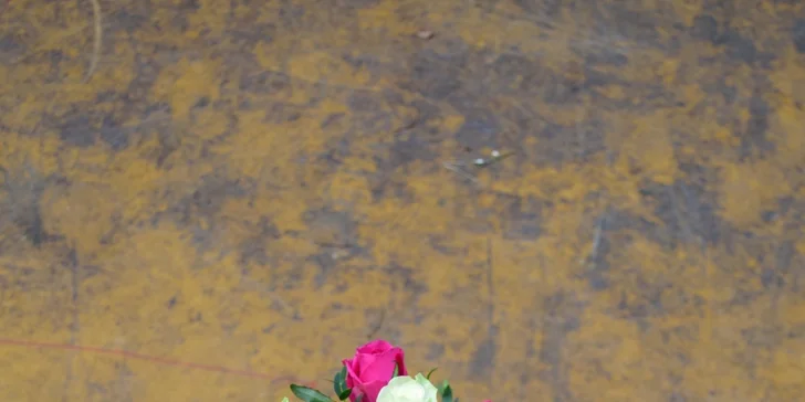 Nádherná kytice růží nebo tulipánů