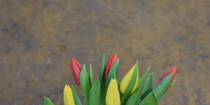 Nádherná kytice růží nebo tulipánů