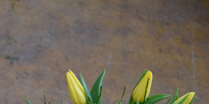 Nádherná kytice růží nebo tulipánů