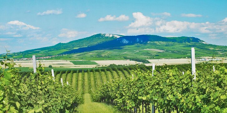 3denní odpočinek na jižní Moravě včetně polopenze a posezení u vína