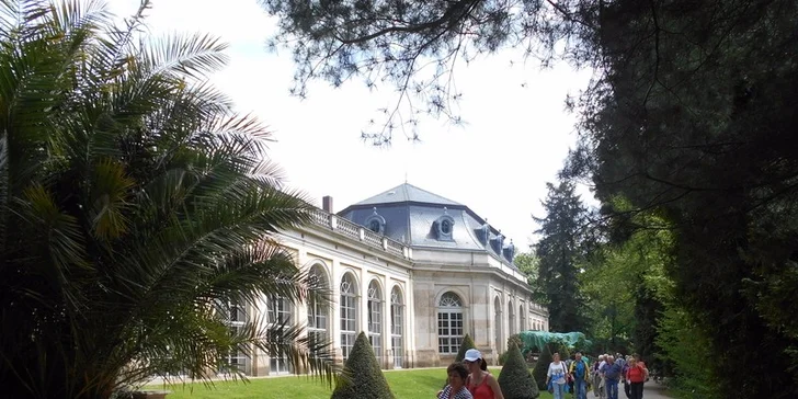 Plavba na zámek Pillnitz