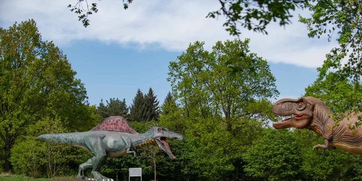 Během procházky tak můžete obdivovat např. Apatosaura, Stegosaura, Mamenchisauruse, Ankylosaura a chybět nebude samozřejmě ani Tyranosaurus! 