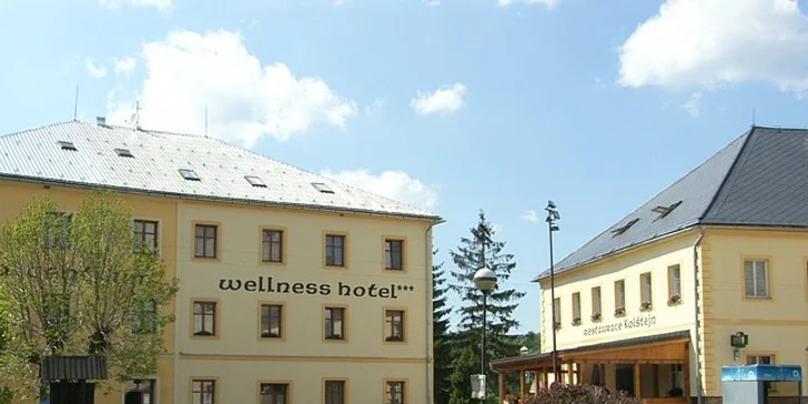 Wellness relax v Jeseníkách: pobyt v penzionu s polopenzí pro dva či celou partu