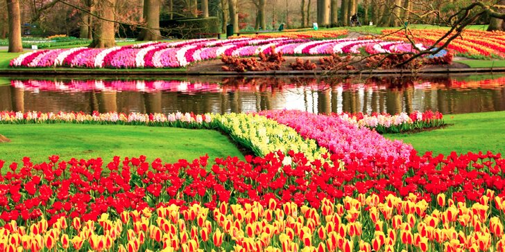 Poznejte krásy největšího květinového parku Holandska – Keukenhofu