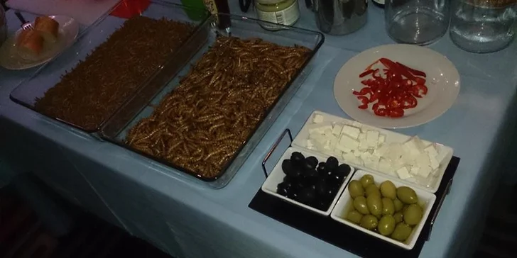 Zážitková hmyzí degustace na firemní nebo soukromé večírky