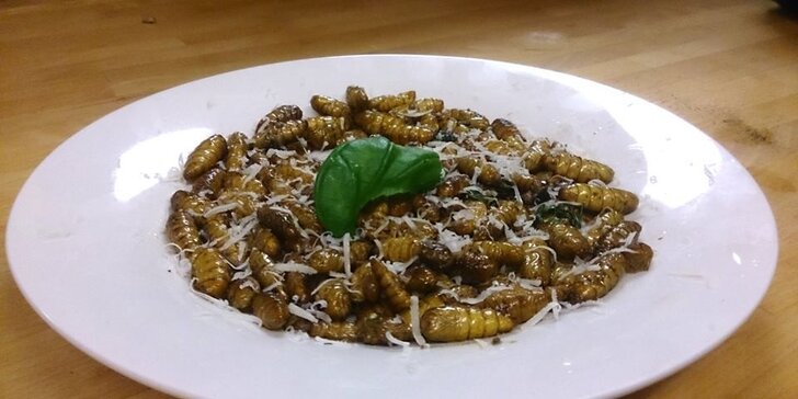 Kouzlo hmyzí gastronomie: naučte se připravit 5chodové hmyzí menu
