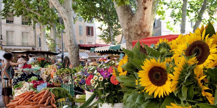 Zájezd do Provence včetně koupání v překrásném městě Nice