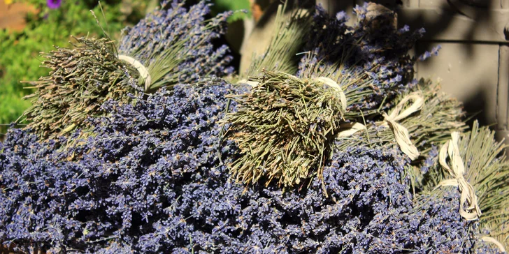 Zájezd do Provence včetně koupání v překrásném městě Nice