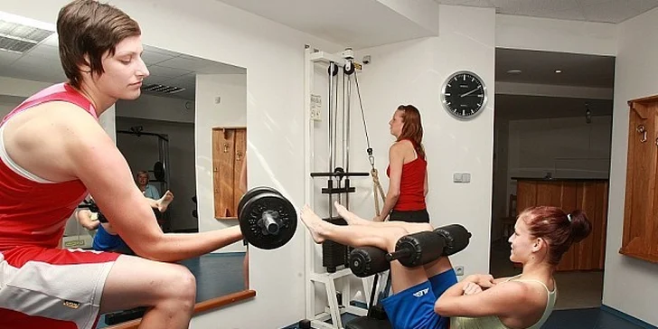 Pronájem apartmánu i celé chaty u Žacléře s polopenzí i wellness